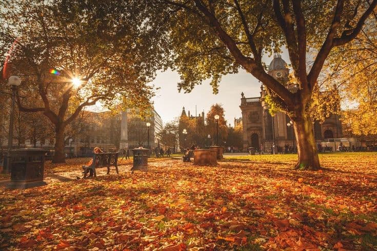 Featured image for blog post