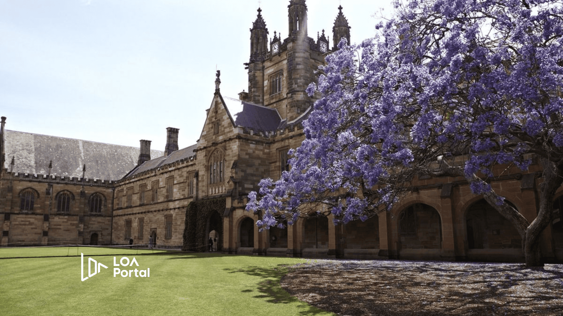 LOA PORTAL – The Smart study abroad platform for the young genegration