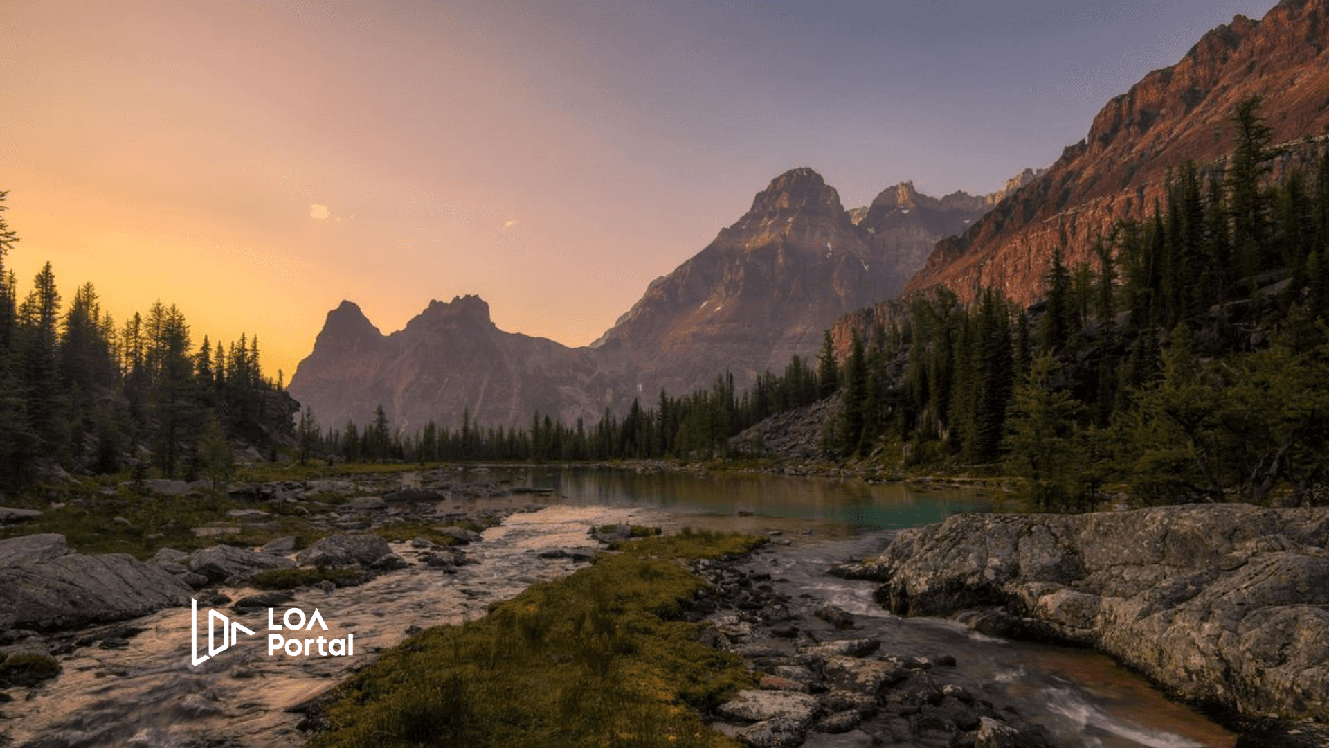 VNEXPRESS giới thiệu LOA PORTAL cùng Chương trình Tài trợ du học Canada trị giá $3.000 CAD