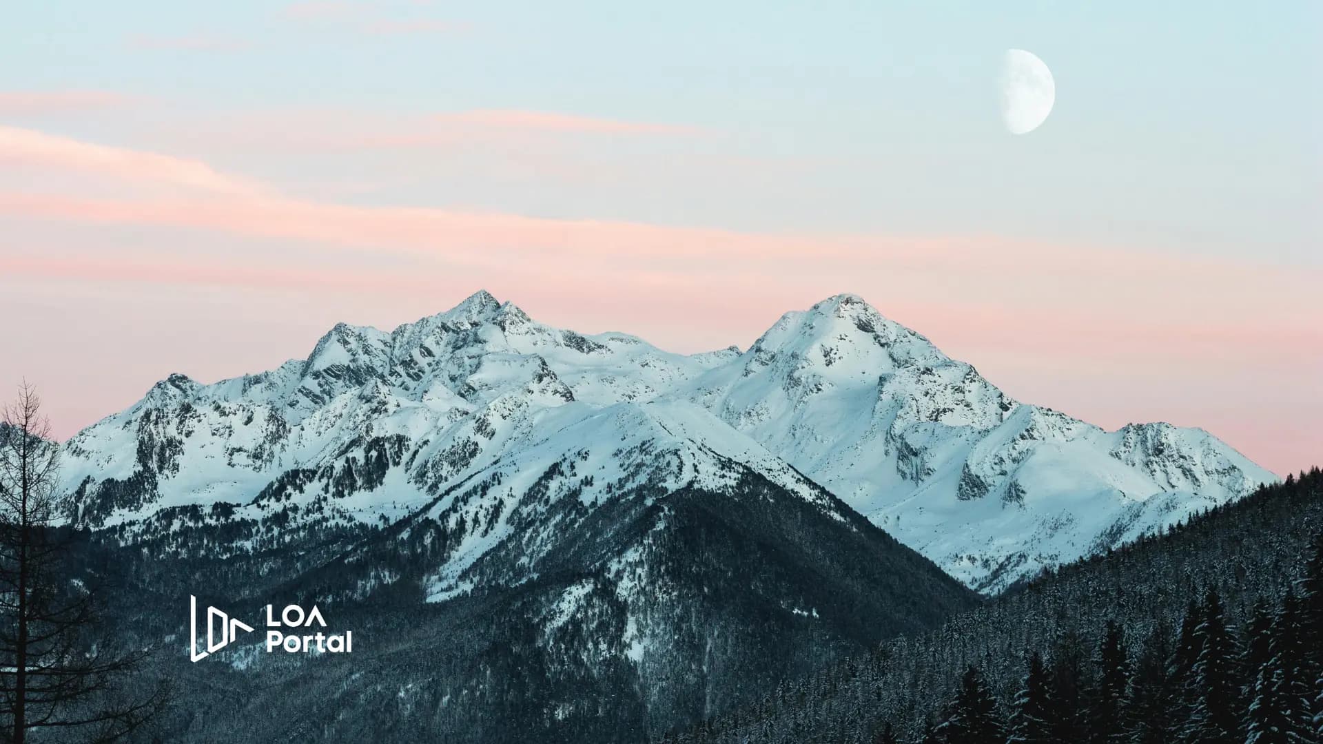 Cost of Studying in Canada 2026