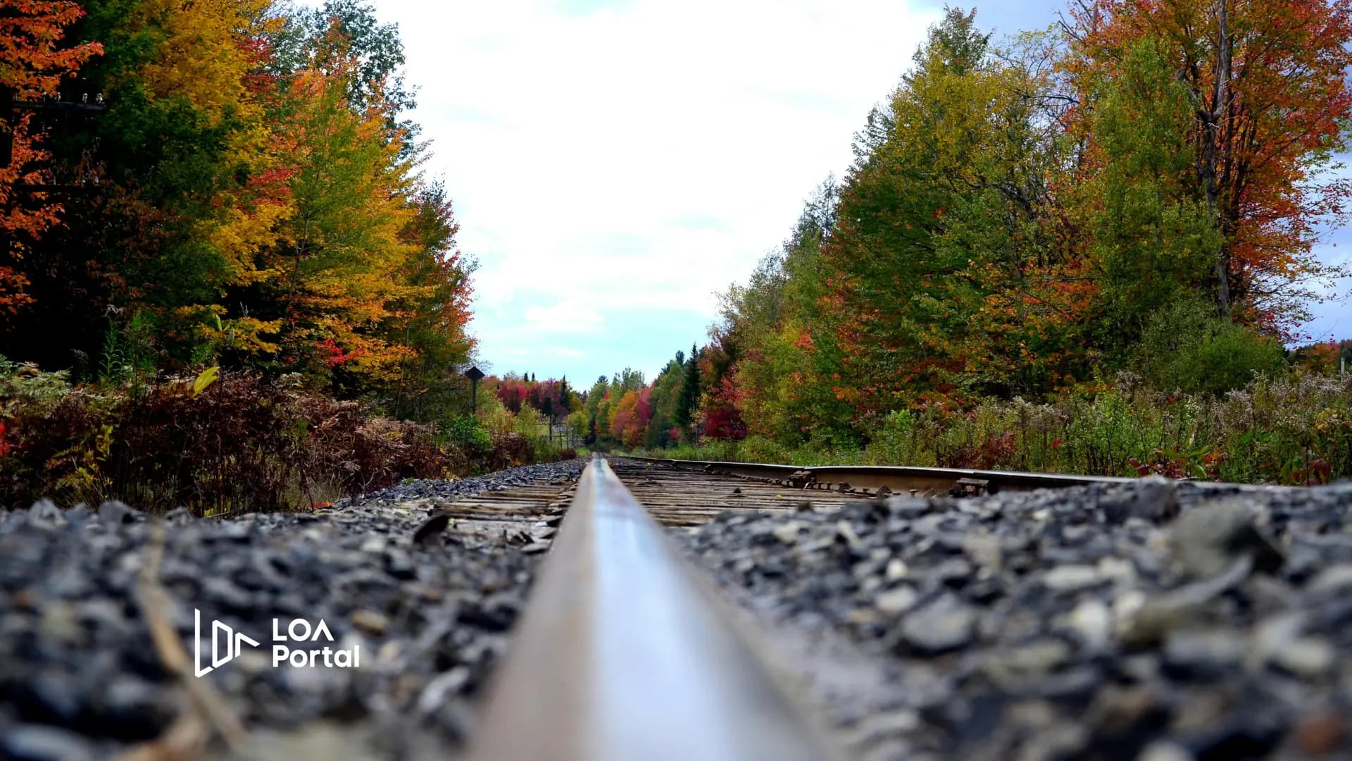 5 Common Mistakes When Applying for a Canada Study Visa