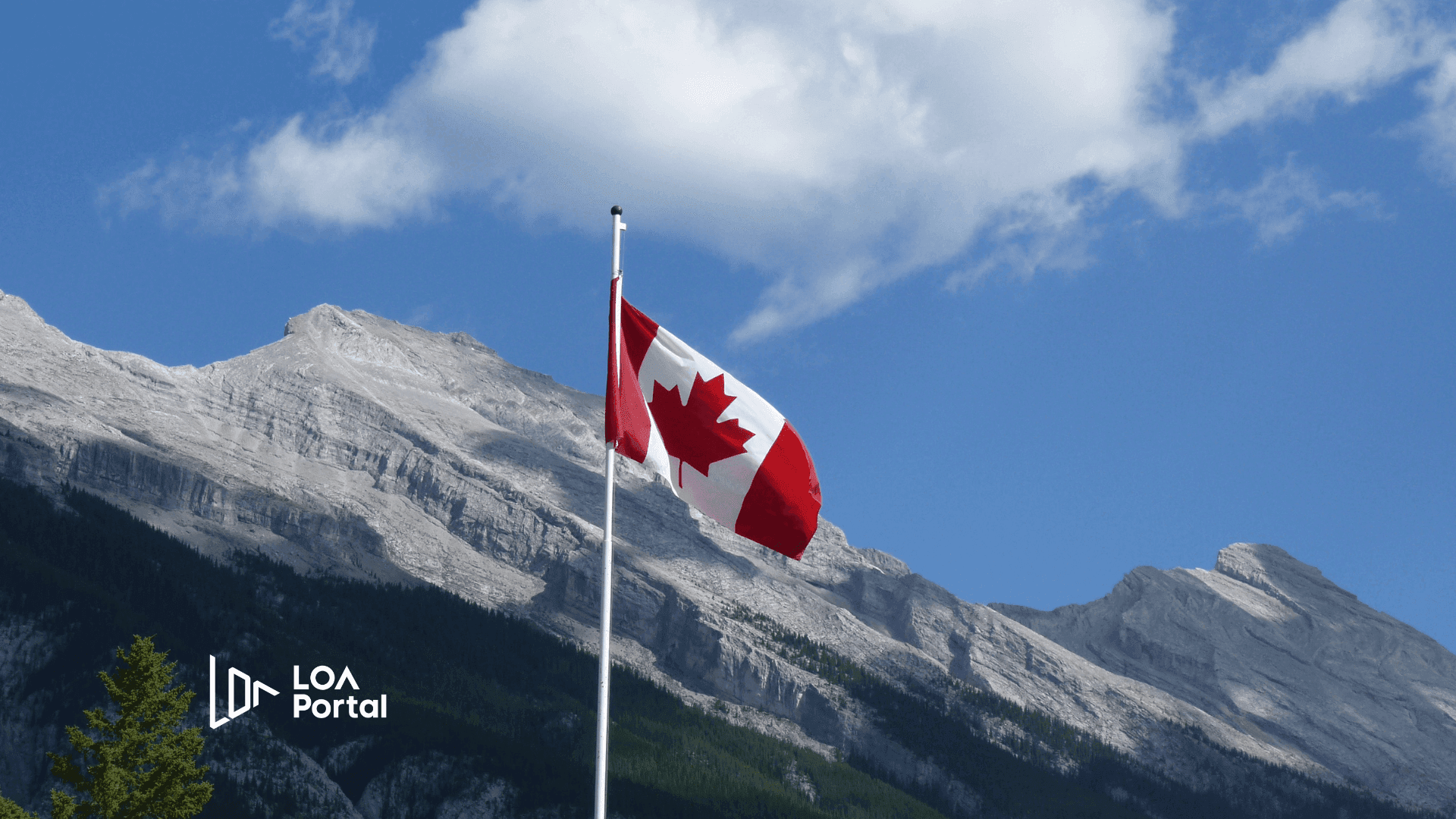 What to prepare before studying abroad: From fear to confidence