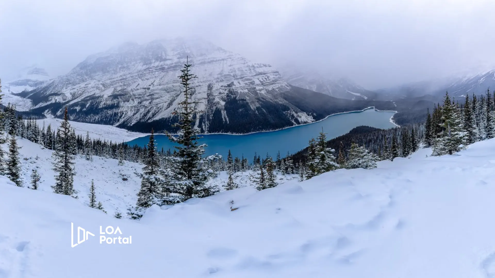 Featured image for blog post