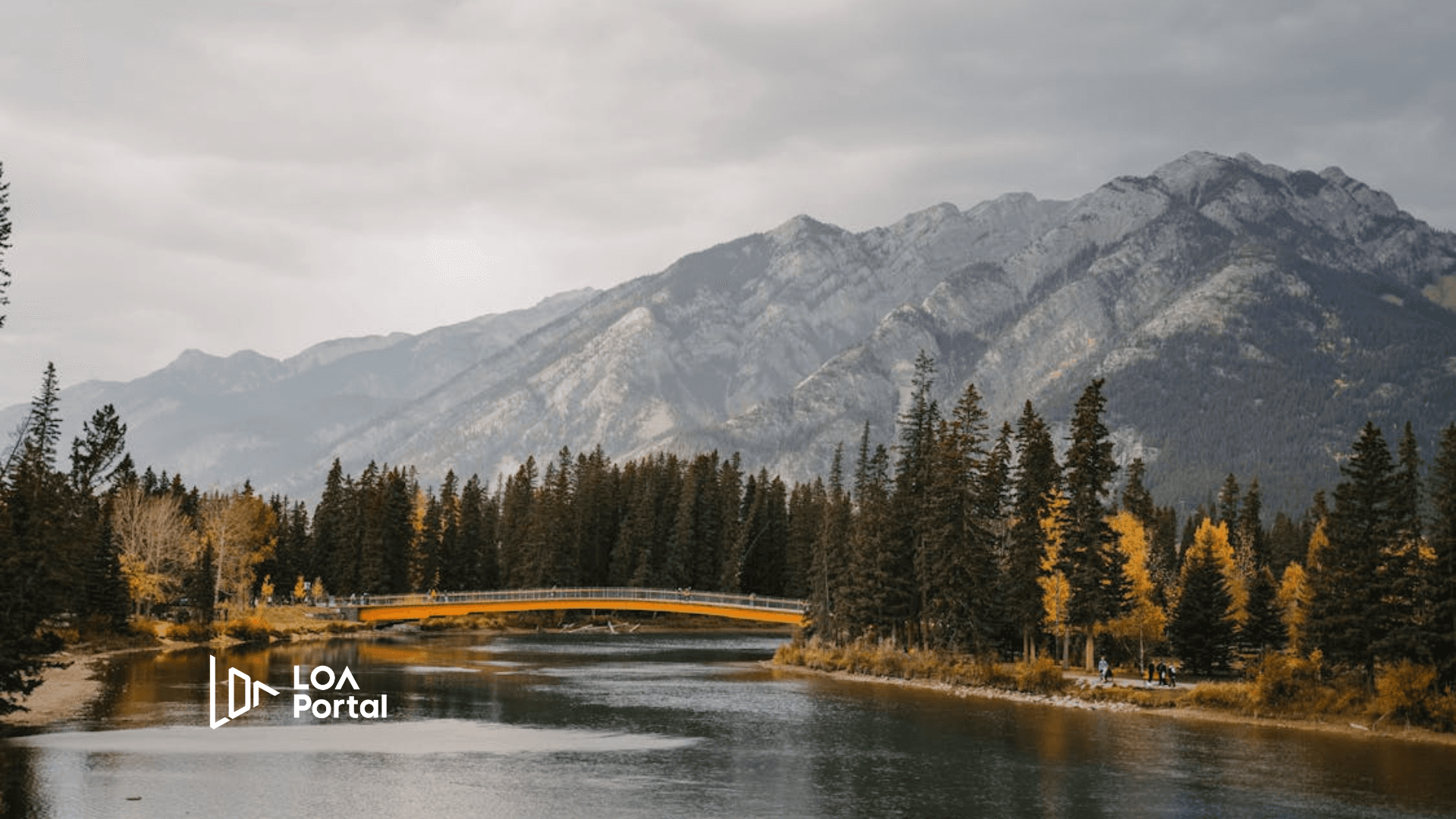 Featured image for blog post