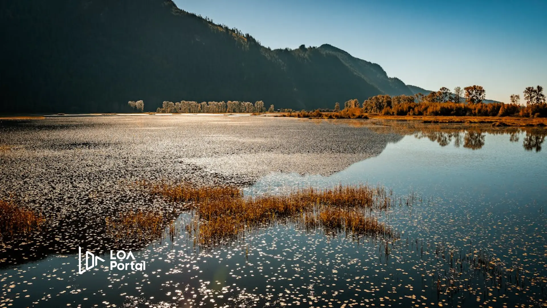 The Complete Guide to Entering Canada for the FIFA World Cup 2026