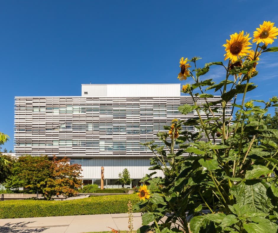 Canada study abroad in Langara College: One of the top 3 colleges in vibrant Vancouver