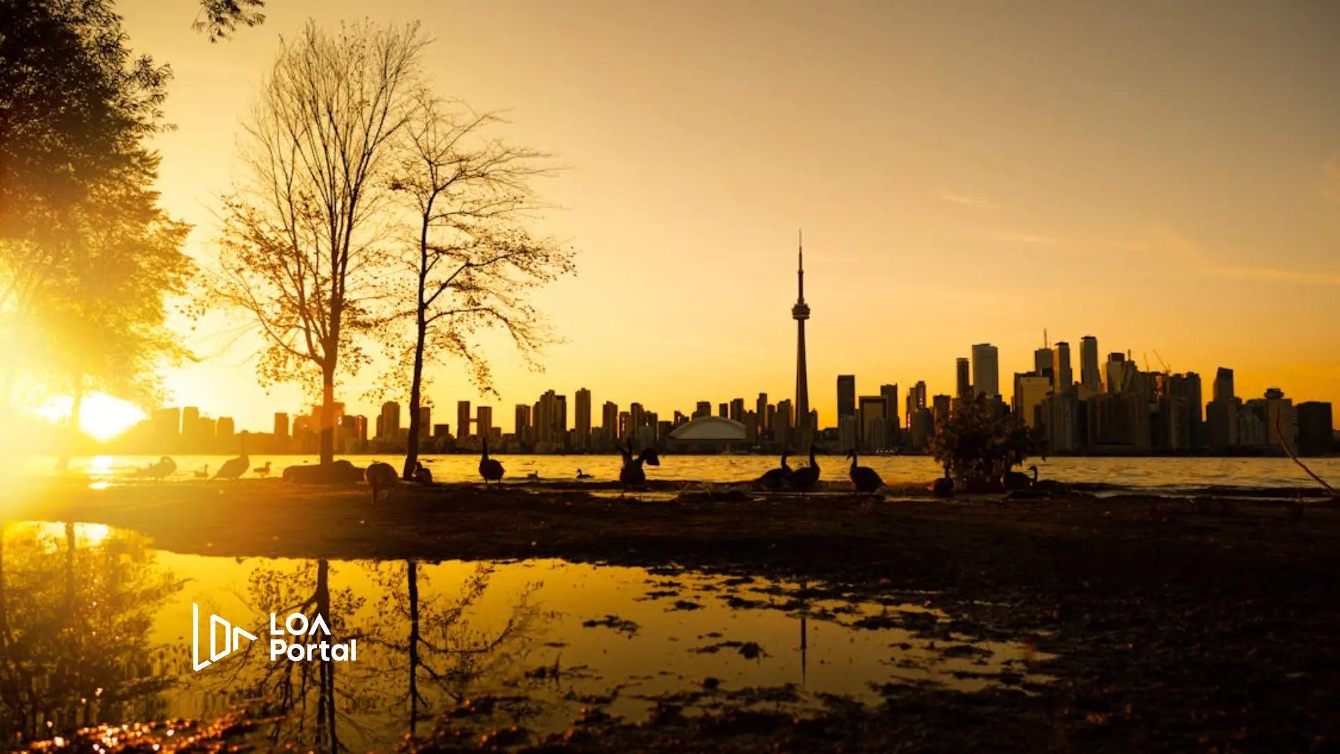 Featured image for blog post