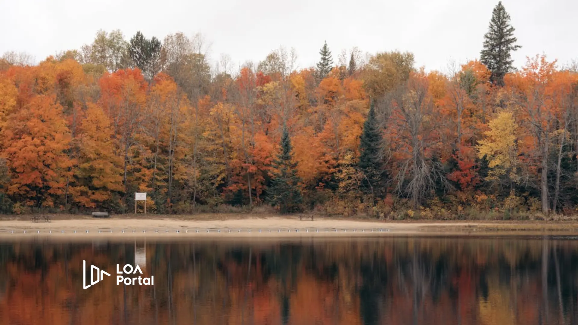 Changing Careers at 27 in Canada: How Do You Actually Afford Going Back to School?