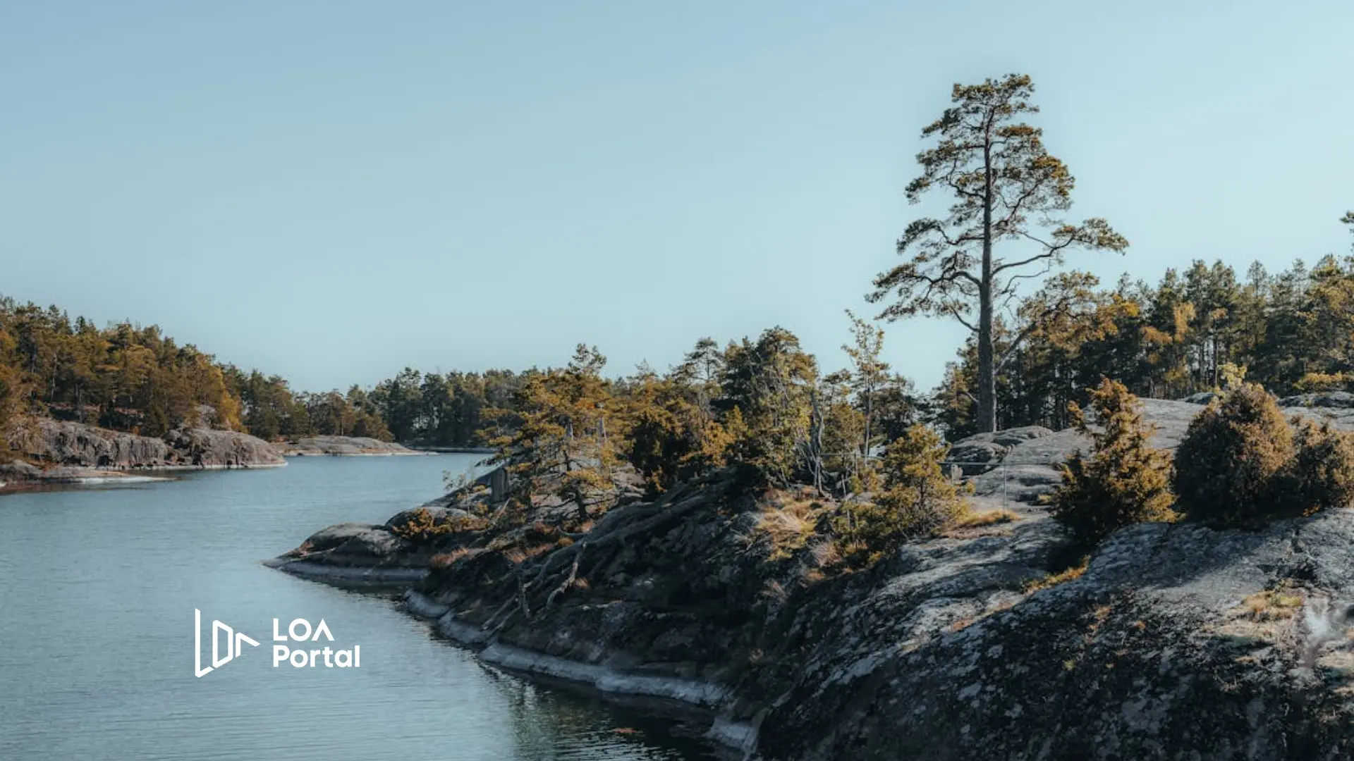 Featured image for blog post