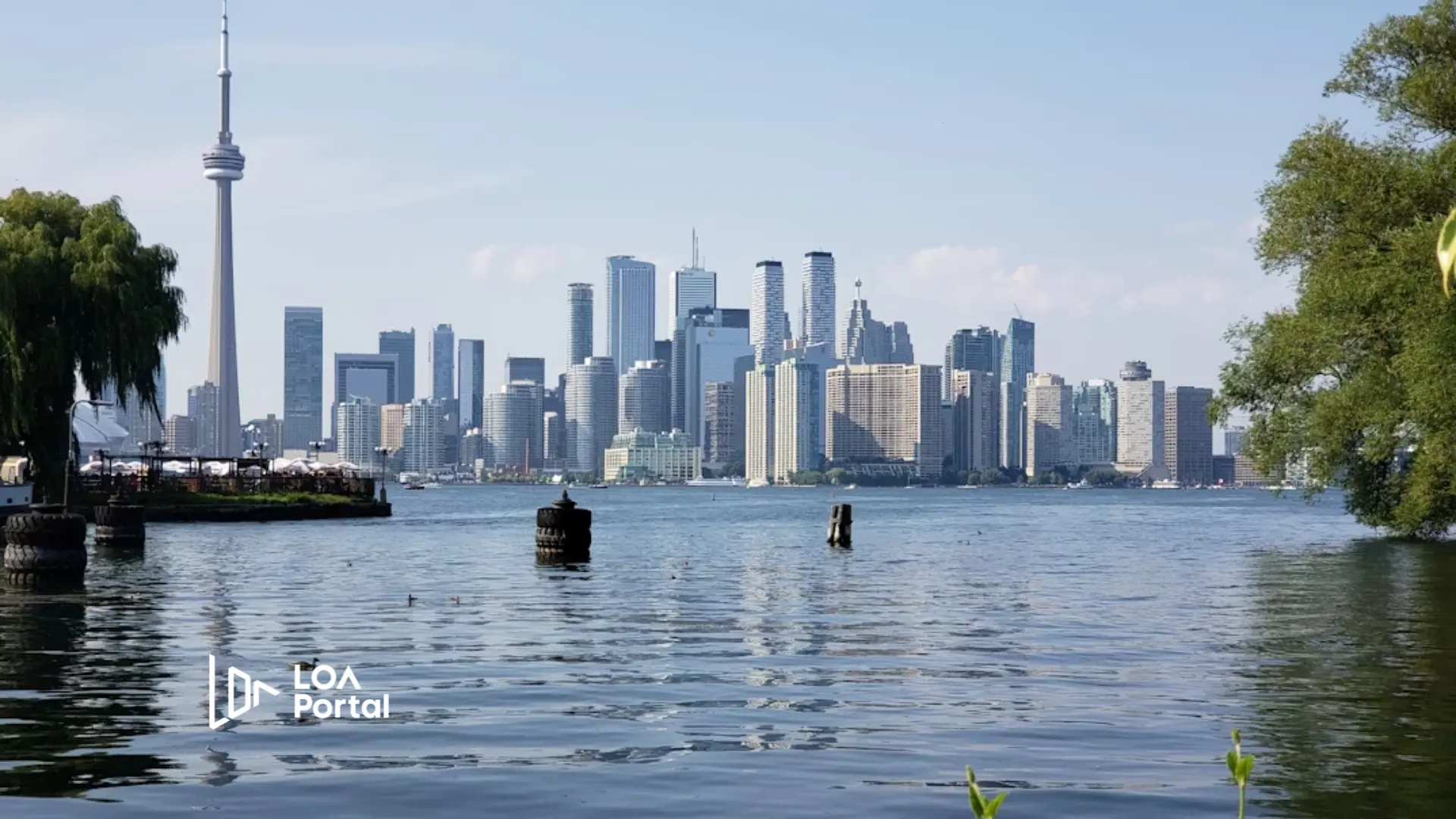 Should You Choose College or University in Canada? (2026 Guide)