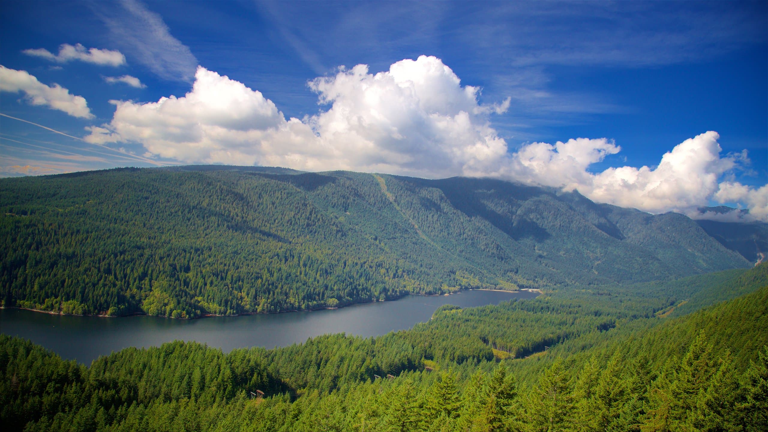 Du học Canada tại Vancouver: Top 5 thành phố đáng sống nhất thế giới